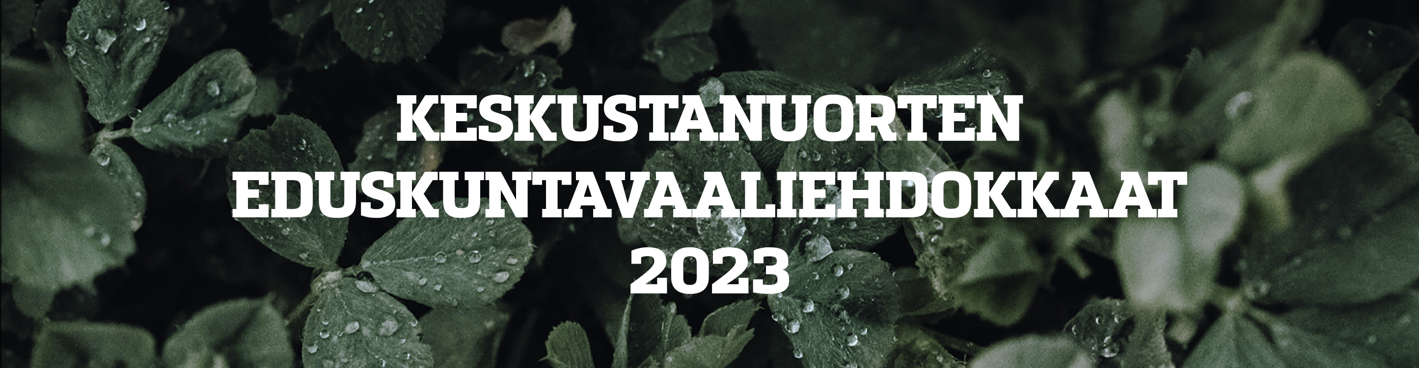 Kaakkois-Suomen vaalipiiri - Keskustanuoret